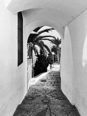 thumbnail: General view