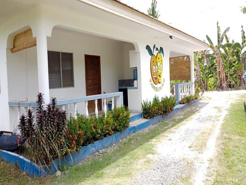 General view