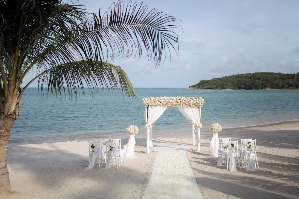 Outdoor wedding area