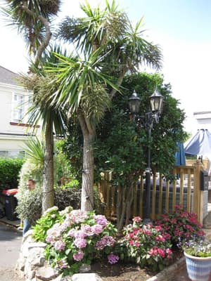 thumbnail: General view