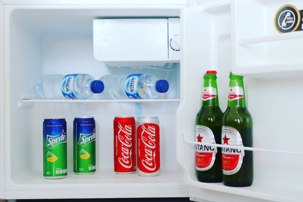 Mini-refrigerator