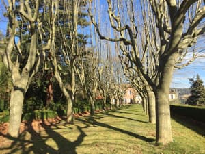 thumbnail: Garden