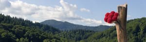 thumbnail: Hiking