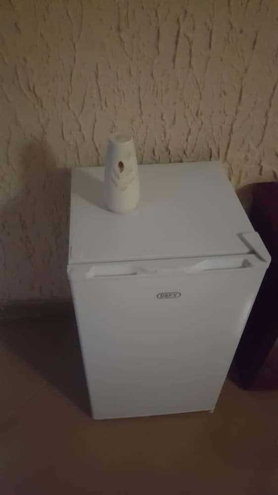 Mini-refrigerator
