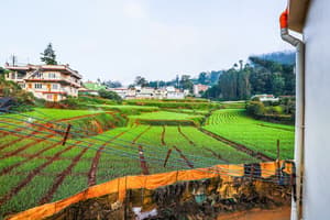 thumbnail: Aerial view