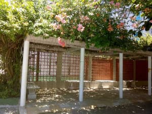 thumbnail: Garden
