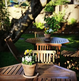 thumbnail: Garden