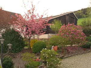 thumbnail: Garden