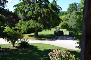 thumbnail: Garden