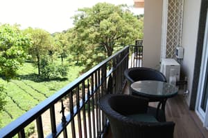 thumbnail: Garden view