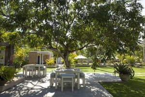 thumbnail: Garden