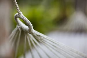 thumbnail: Garden