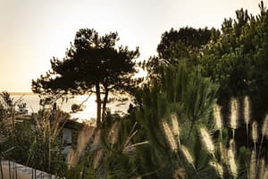 thumbnail: Exterior