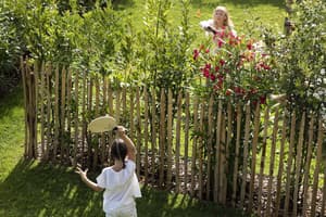 thumbnail: Garden