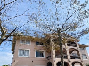 thumbnail: Exterior