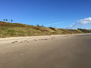 thumbnail: Beach