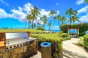 thumbnail: BBQ/picnic area