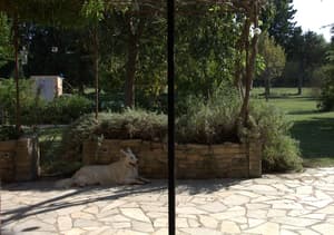 thumbnail: Terrace/patio