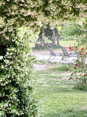 thumbnail: Garden