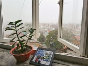 thumbnail: General view