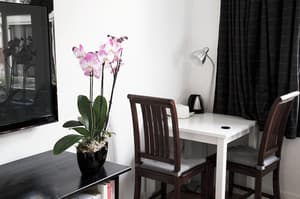 thumbnail: In-room dining
