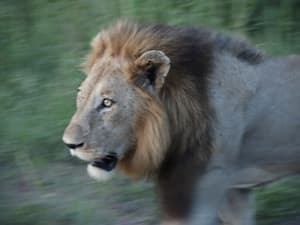 thumbnail: Ecotours