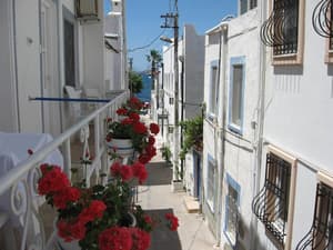 thumbnail: Exterior detail