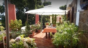 thumbnail: Terrace/patio