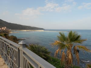 thumbnail: View from property