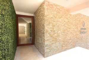 thumbnail: Reception