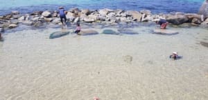 thumbnail: Beach
