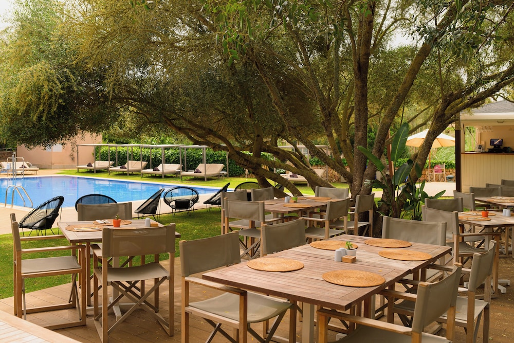 Swim-up bar