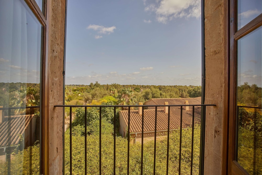 View from room