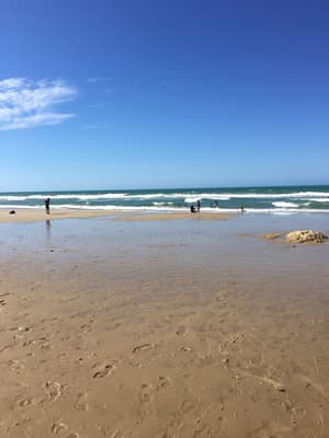 thumbnail: Beach