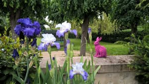 thumbnail: Garden