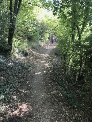 thumbnail: Hiking