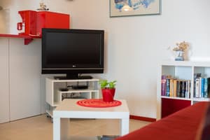 thumbnail: Television