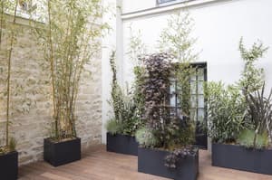 thumbnail: Terrace/patio
