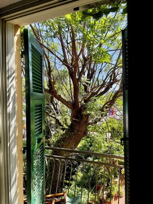 thumbnail: Garden view