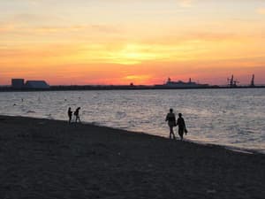 thumbnail: General view
