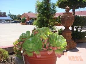 thumbnail: Property grounds