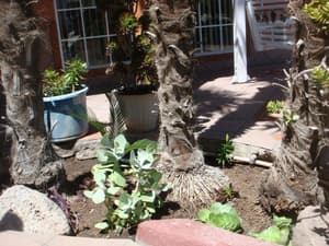 thumbnail: Property grounds