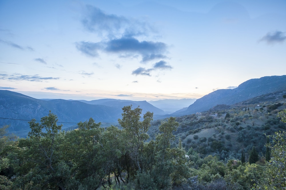 Land view from property