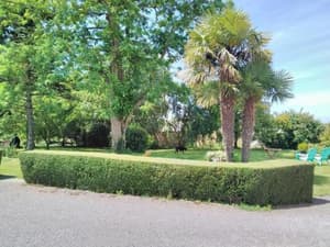 thumbnail: 189584550.jpg