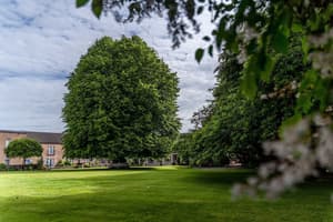 thumbnail: Garden