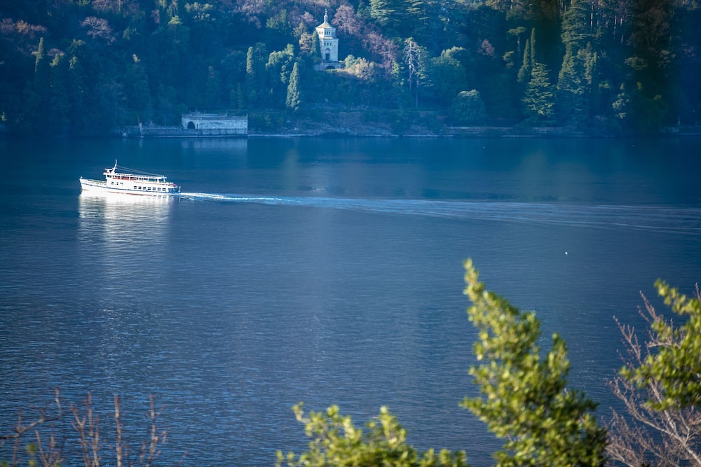 Lake view