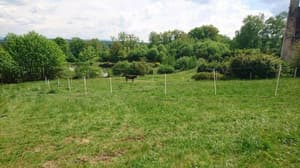 thumbnail: General view