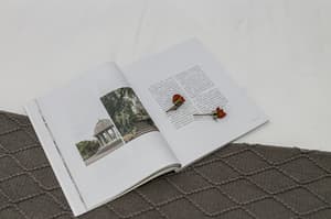 thumbnail: Interior detail