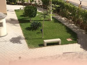 thumbnail: Property grounds
