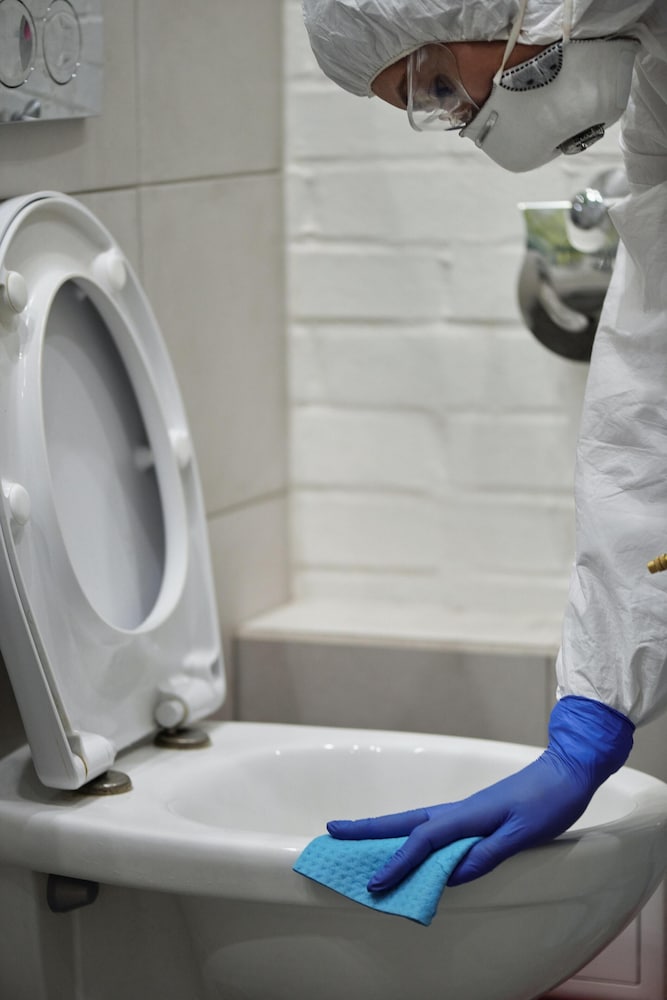 Cleanliness standards